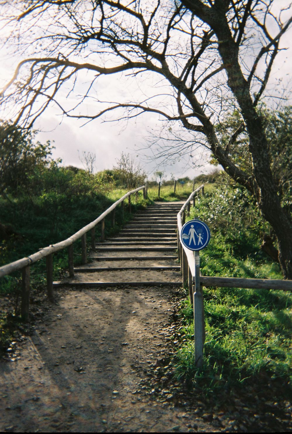 Foto uit de duinen met een trap in de natuur plus verkeersbord